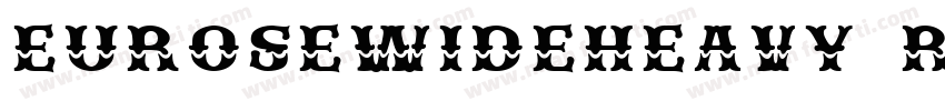 EUROSEWIDEHEAVY REGULAR字体转换